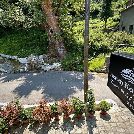 Anilio Pelion Λευκή Καμέλια酒店 外观 照片