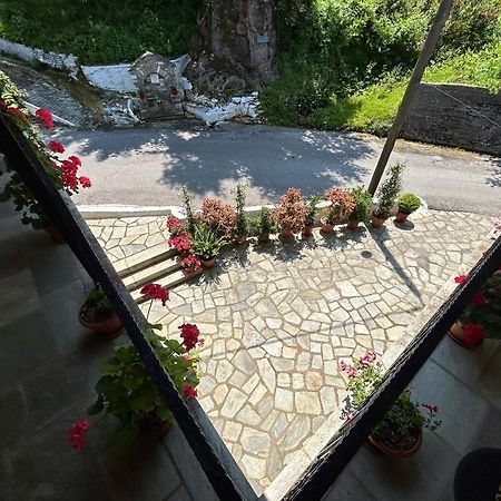 Anilio Pelion Λευκή Καμέλια酒店 外观 照片