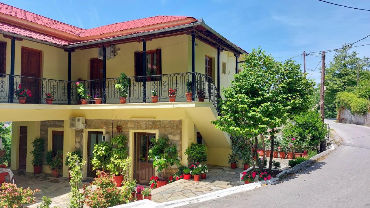 Anilio Pelion Λευκή Καμέλια酒店 外观 照片