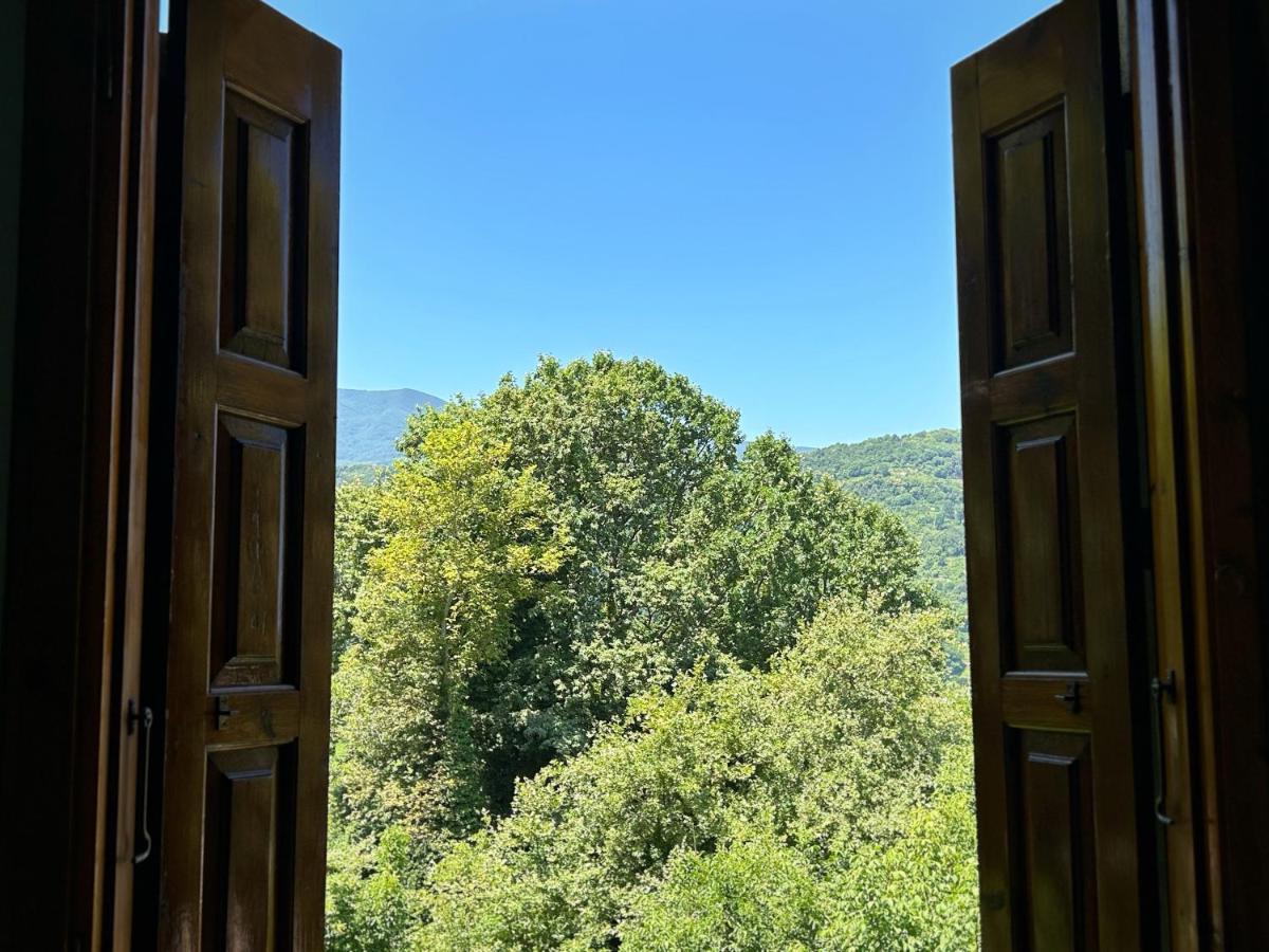 Anilio Pelion Λευκή Καμέλια酒店 外观 照片