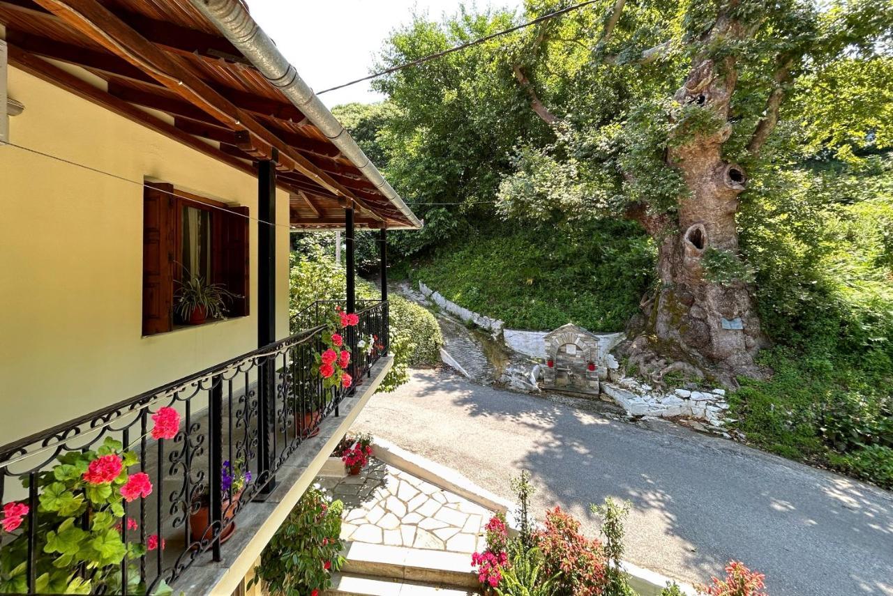 Anilio Pelion Λευκή Καμέλια酒店 外观 照片