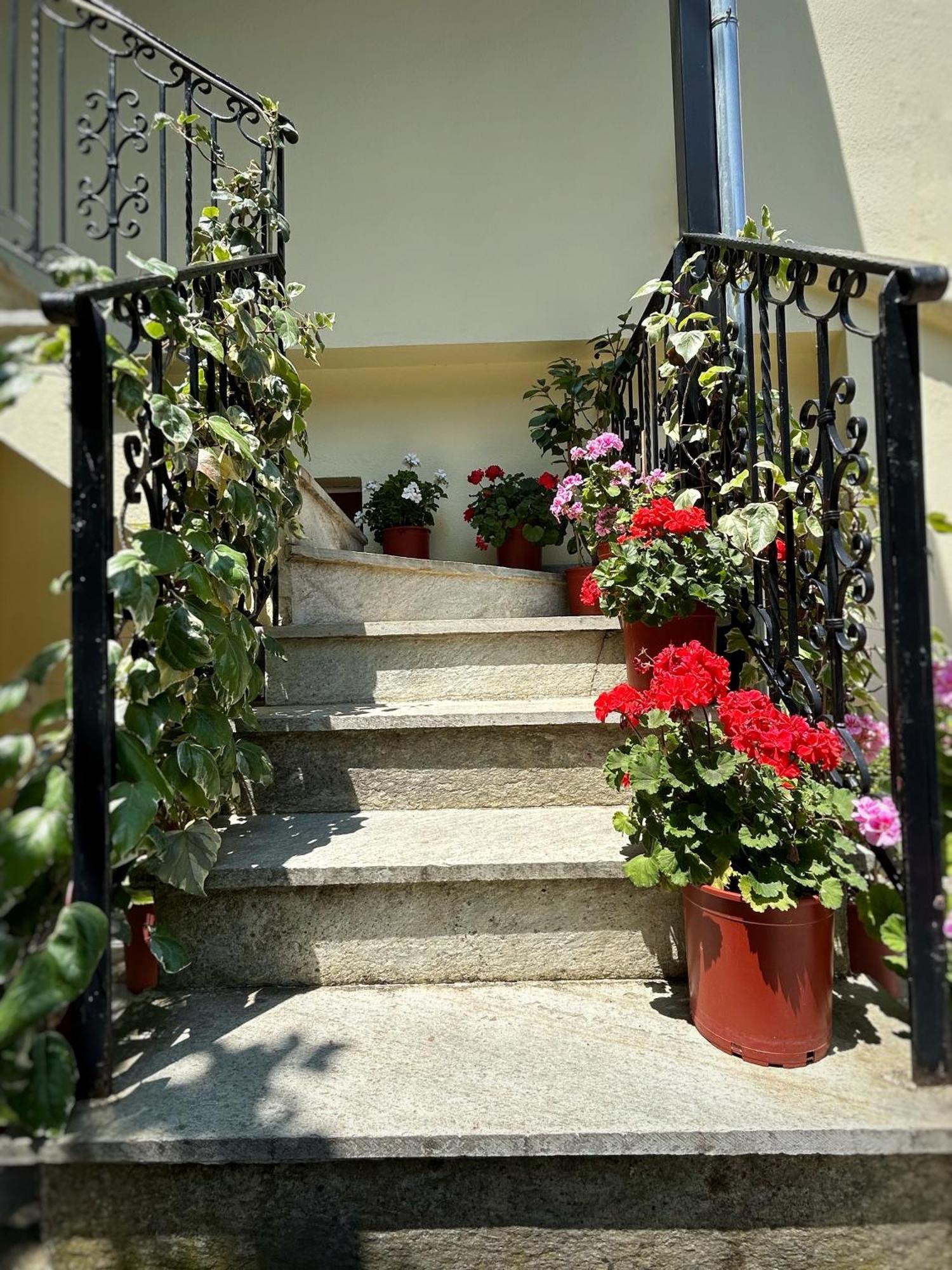 Anilio Pelion Λευκή Καμέλια酒店 外观 照片