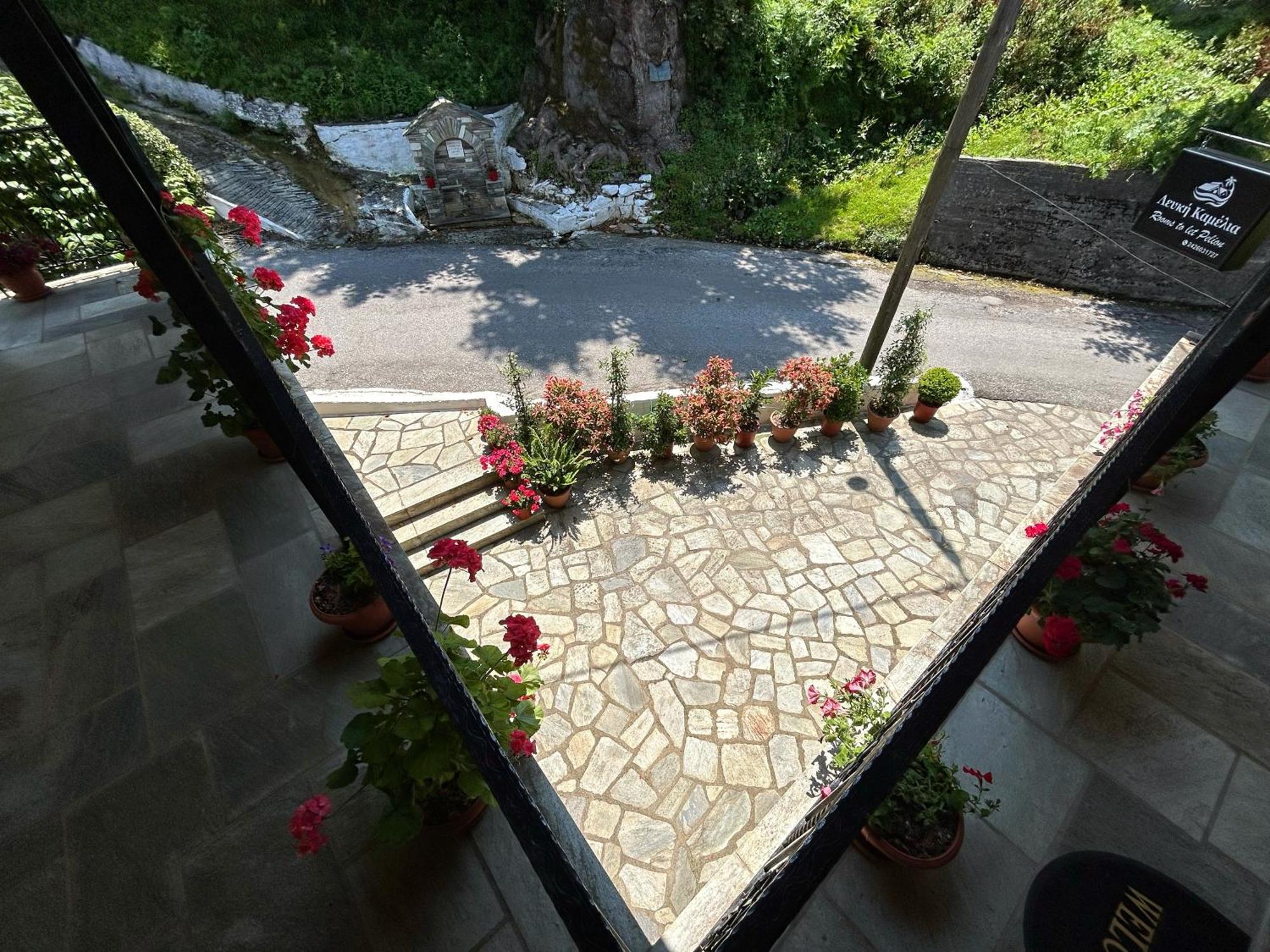 Anilio Pelion Λευκή Καμέλια酒店 外观 照片